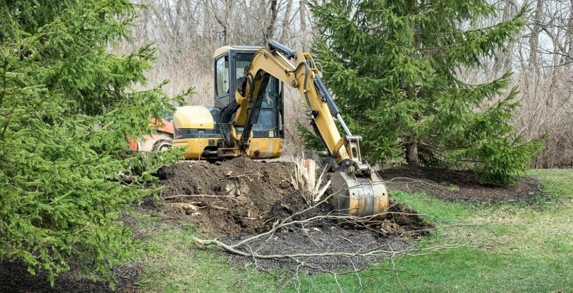 Przygotowanie terenu pod nowe inwestycje – usługi wycinki i frezowania