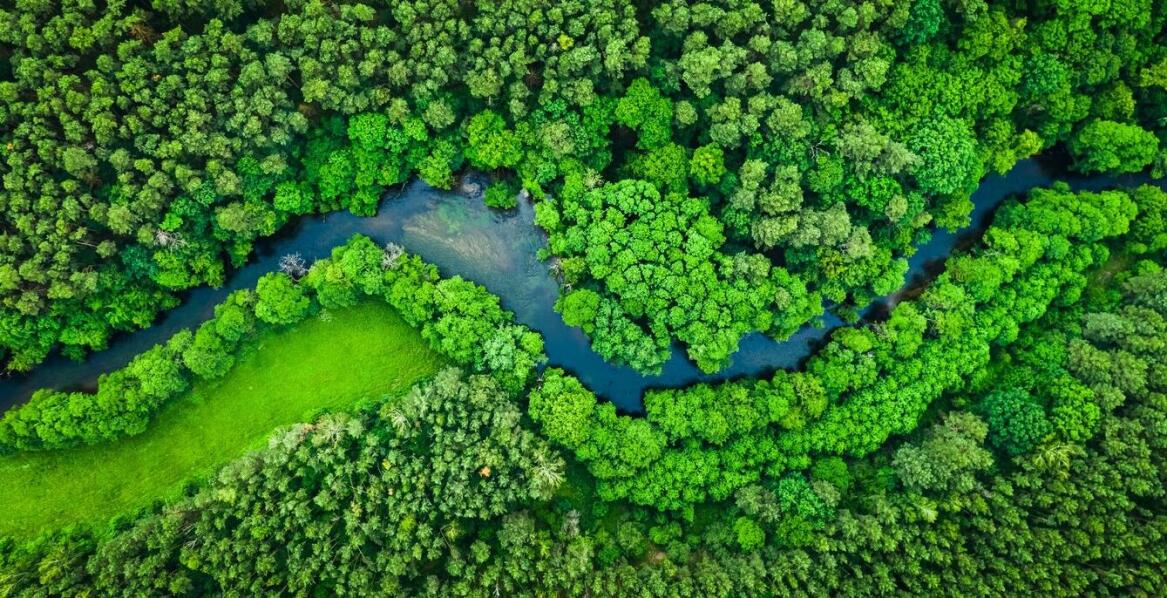 Jakie są perspektywy rozwoju hodowli dziobaka w Polsce?