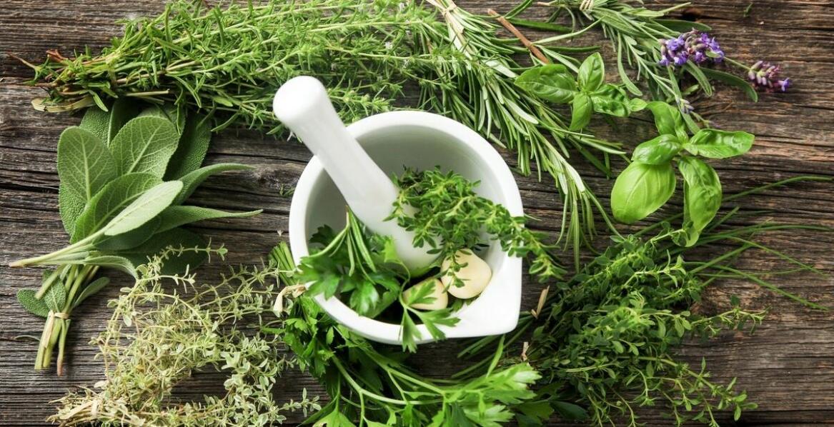 Rola grama zioła w tradycyjnych i nowoczesnych przepisach kulinarnych