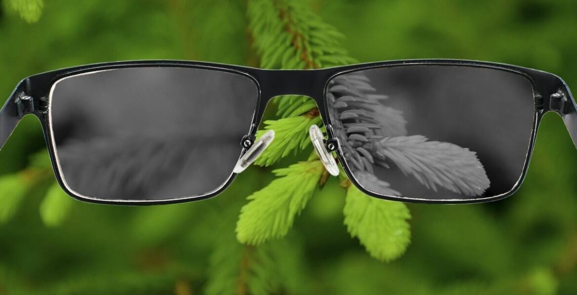 Lornetka wojskowa – kluczowe cechy, które wyróżniają modele na rynku