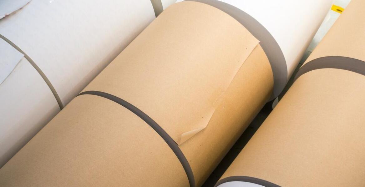 Różnorodność papieru do kasy fiskalnej – co oferuje rynek?