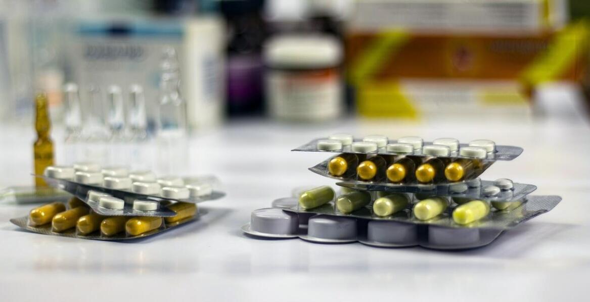 Dlaczego warto inwestować w suplementy wspierające trawienie u koni?