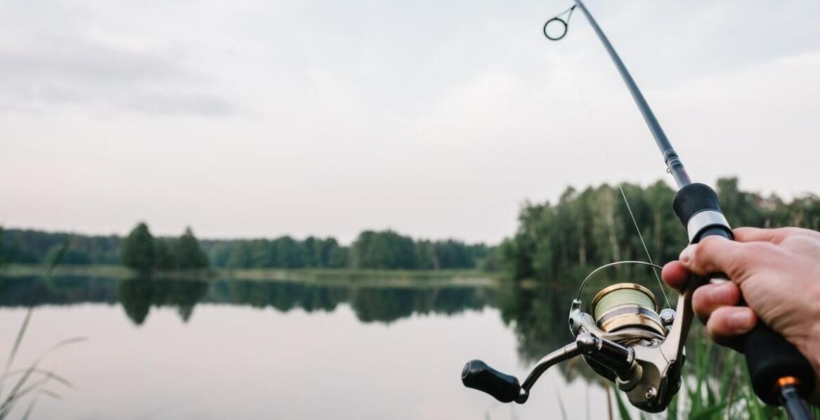 Jak wybrać odpowiednie przynęty na ryby do połowu karpia?