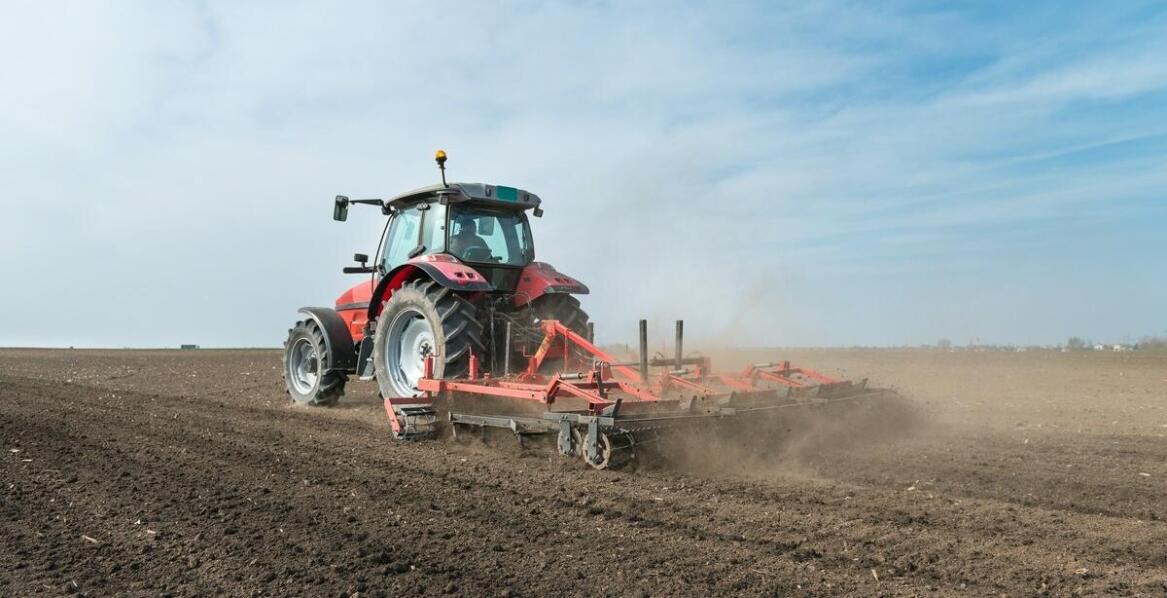 Glebogryzarki do zadań specjalnych – jakie modele sprawdzą się w trudnym terenie?