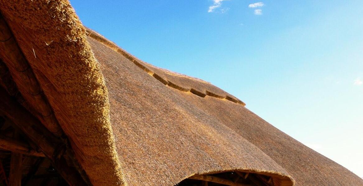 Wpływ tradycji i nowoczesności na projekty domów drewnianych na Podhalu