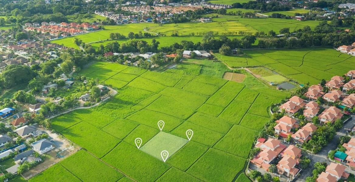 Jak geodeta pomaga uniknąć sporów przy ustalaniu granic działek?