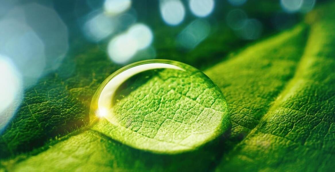 Jak technologie uzdatniania wody wspierają ochronę środowiska?