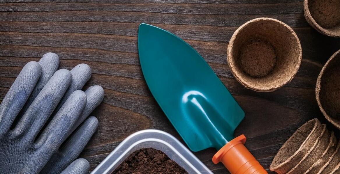 Biogenetic a jakość nasion marihuany: co warto wiedzieć?