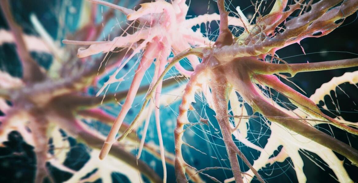 Wpływ stylu życia na zdrowie włókien kolagenowych