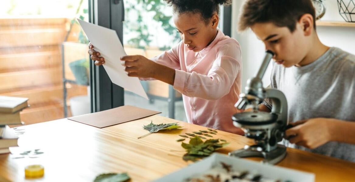 Rola pracowni przyrodniczej w nowoczesnej edukacji biologicznej