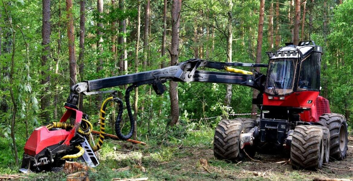 Dlaczego warto inwestować w wysokiej jakości chwytak do drewna?