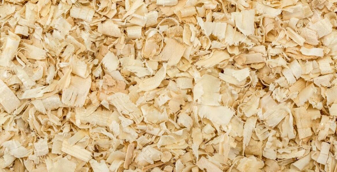 Ekologiczne właściwości wiórów dla koni i ich wpływ na środowisko