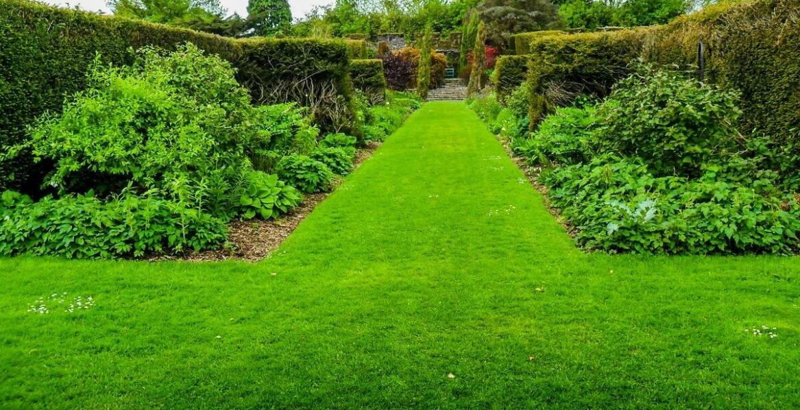 Przegląd najpopularniejszych typów obrzeży trawnikowych dostępnych na rynku
