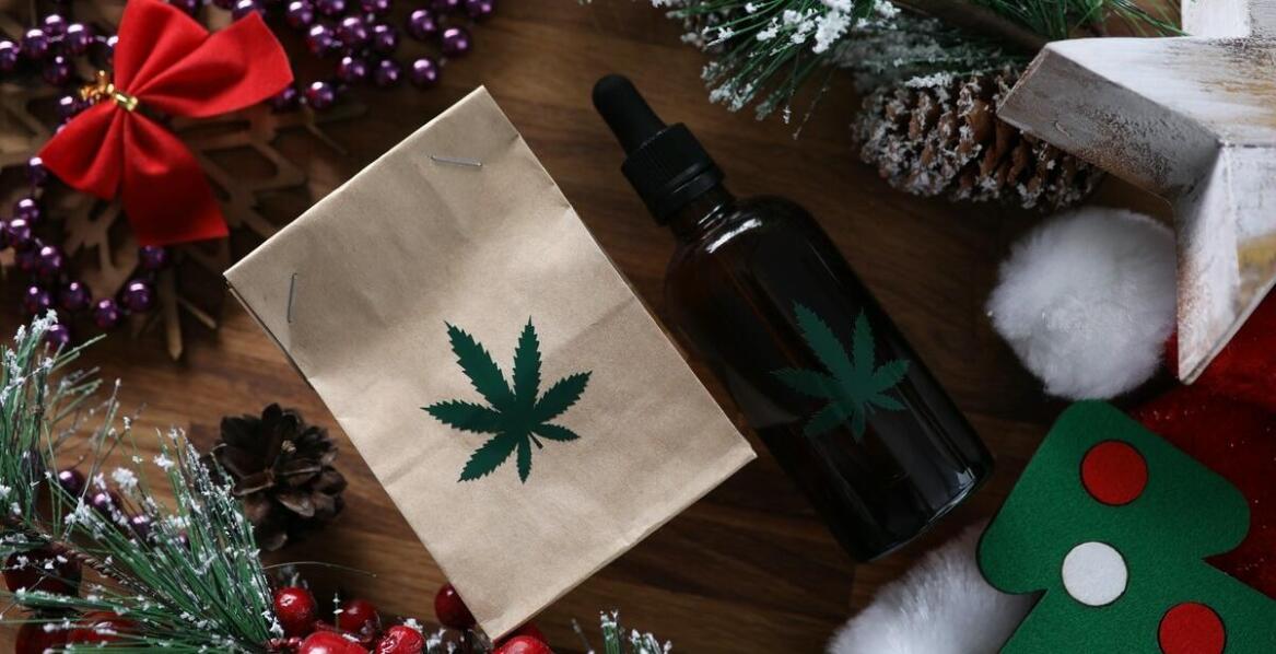 Poradnik dla zaawansowanych kolekcjonerów nasion – oferta Orion Seeds