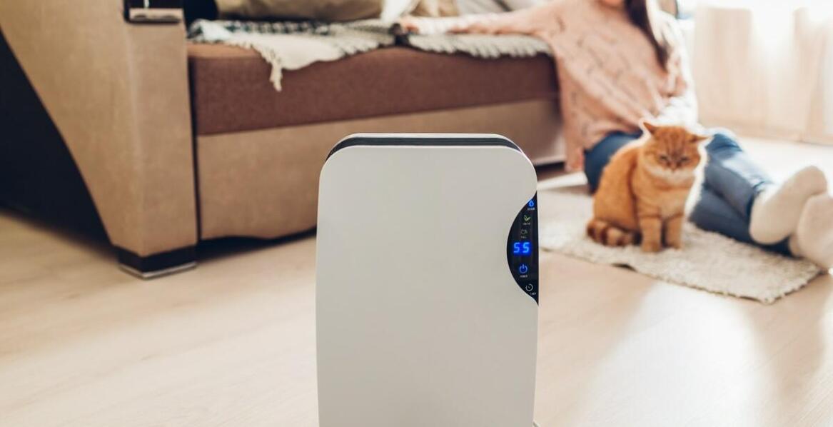 Ozonowanie pomieszczeń – dlaczego jest rekomendowane po przeprowadzce?