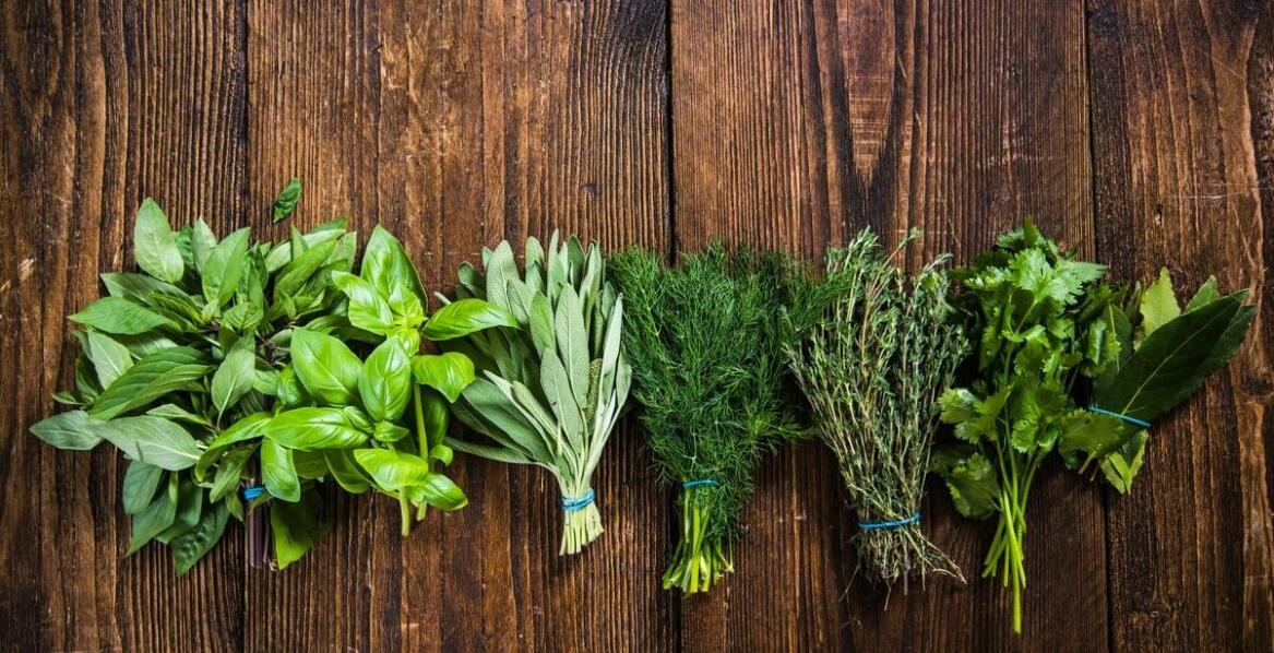 Jak sklep z ziołami może pomóc w utrzymaniu zdrowego stylu życia?
