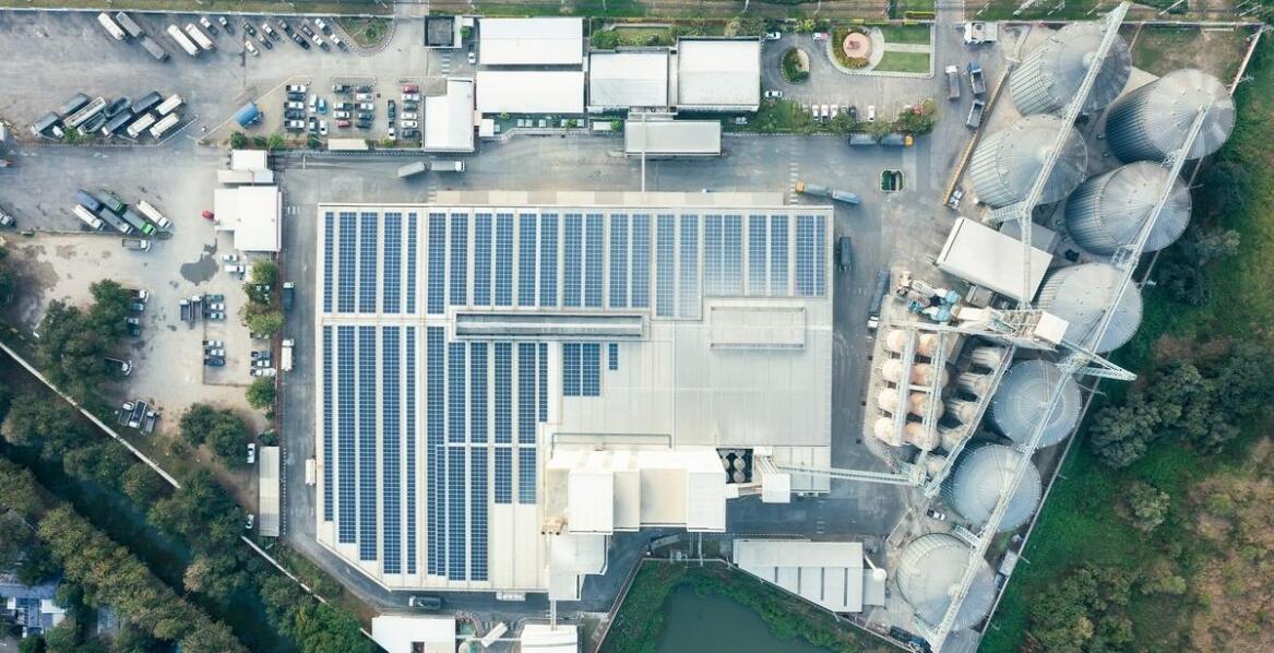 Drogi tymczasowe na budowie – jakie mają znaczenie dla ochrony środowiska?