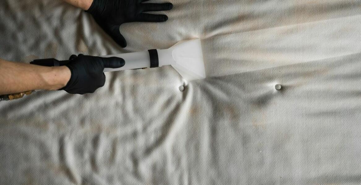 Bezpieczeństwo produktów spożywczych podczas odpluskwiania mieszkań