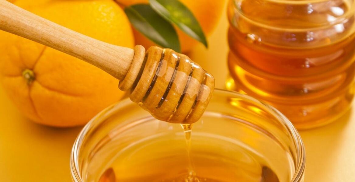 Rola miodu spadziowego iglastego w diecie wegańskiej i wegetariańskiej