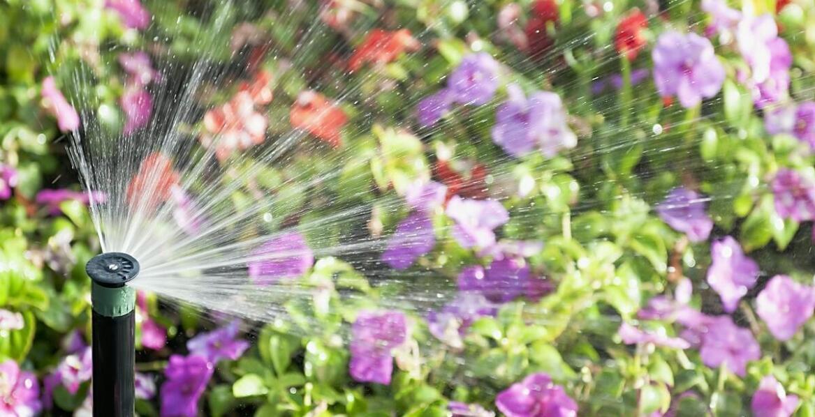 Jakie są zalety nowoczesnych systemów nawadniających dla krakowskich trawników?