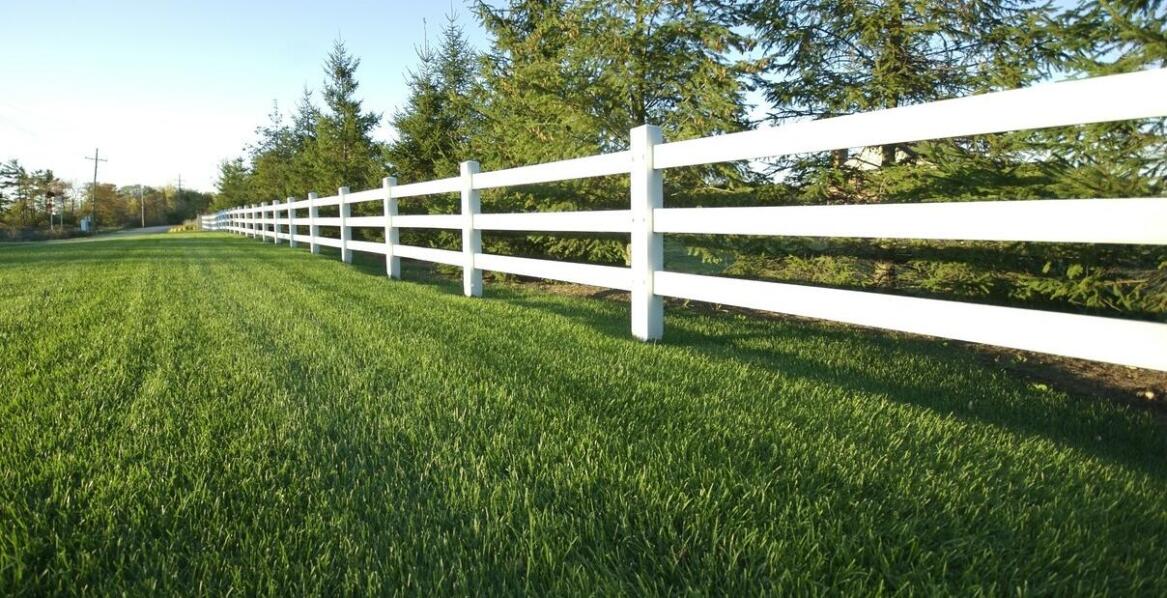 Jak ogrodzenia końskie wpływają na bezpieczeństwo hodowli?