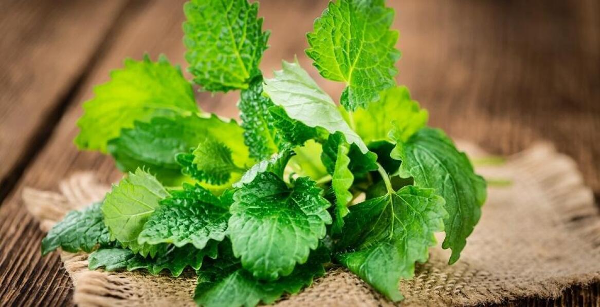 Co może pomóc na stres i nerwy?