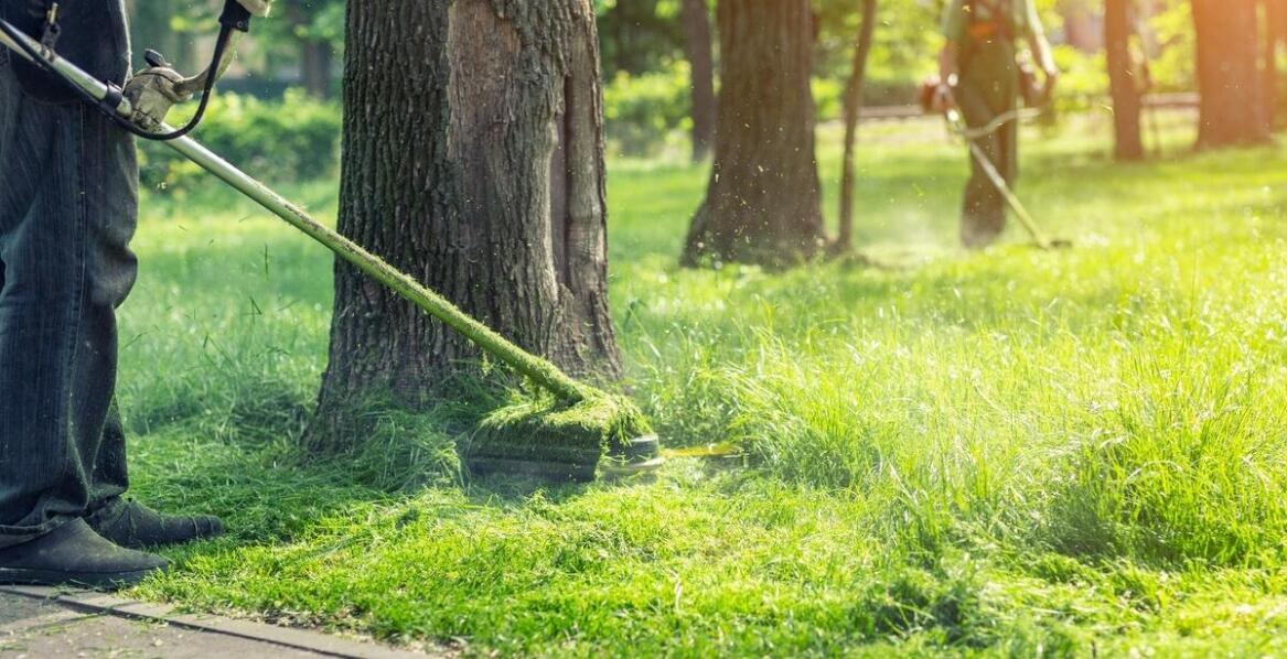 Jak koszenie nieużytków wpływa na bezpieczeństwo przeciwpożarowe?