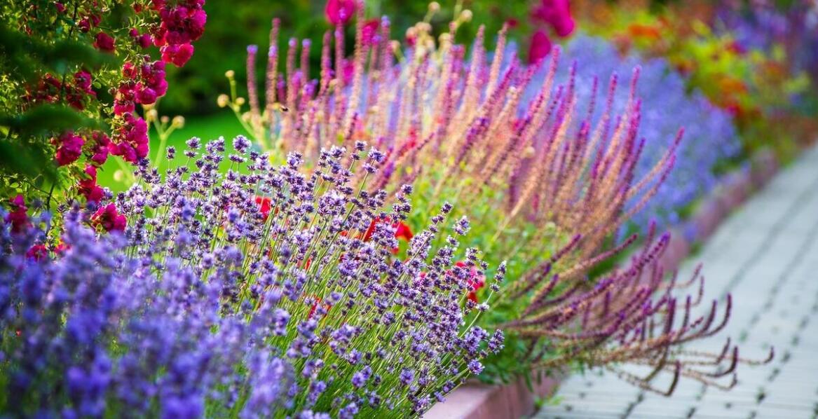 Wybór najlepszych podpór kwiatowych dla twojego ogrodu