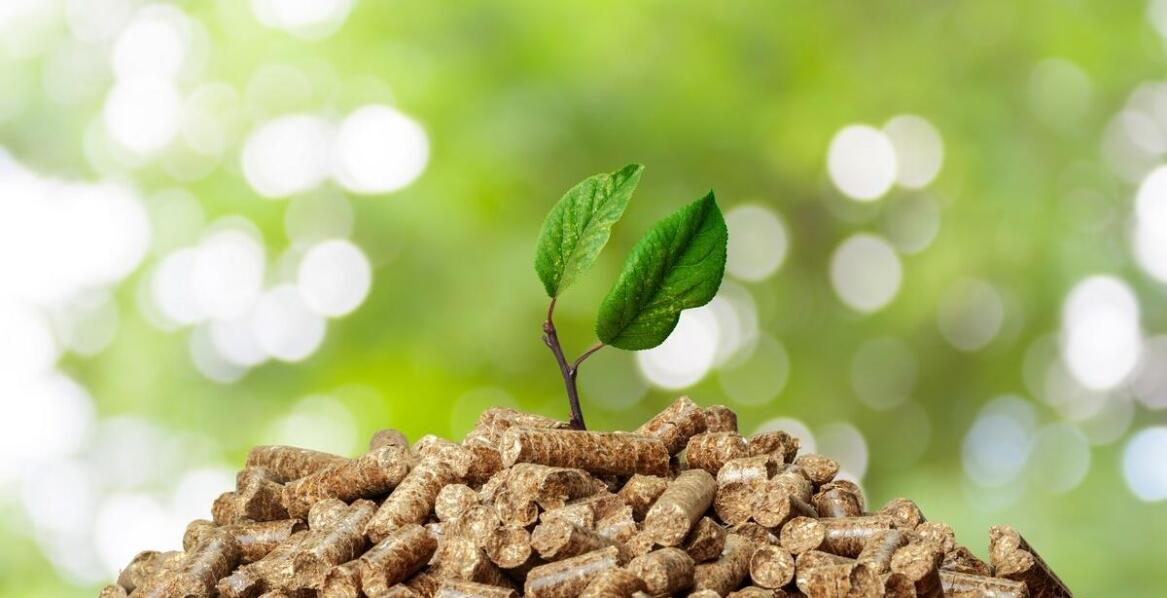 Jak lokalni producenci pelletu wpływają na rozwój regionalnej gospodarki?