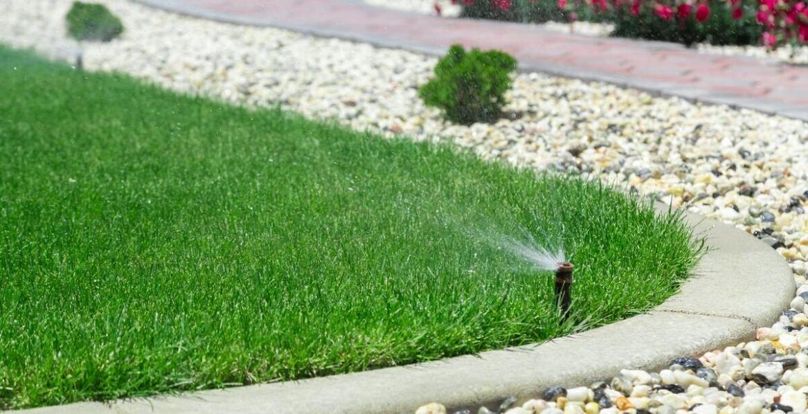 Automatyzacja nawadniania – korzyści dla właścicieli dużych ogrodów