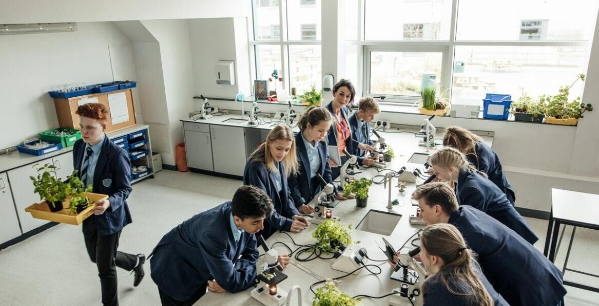 Jak efektywnie integrować preparaty mikroskopowe z programem nauczania biologii?