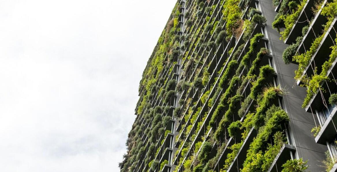 Zalety ekologicznych projektów domów drewnianych w kontekście zdrowego mikroklimatu