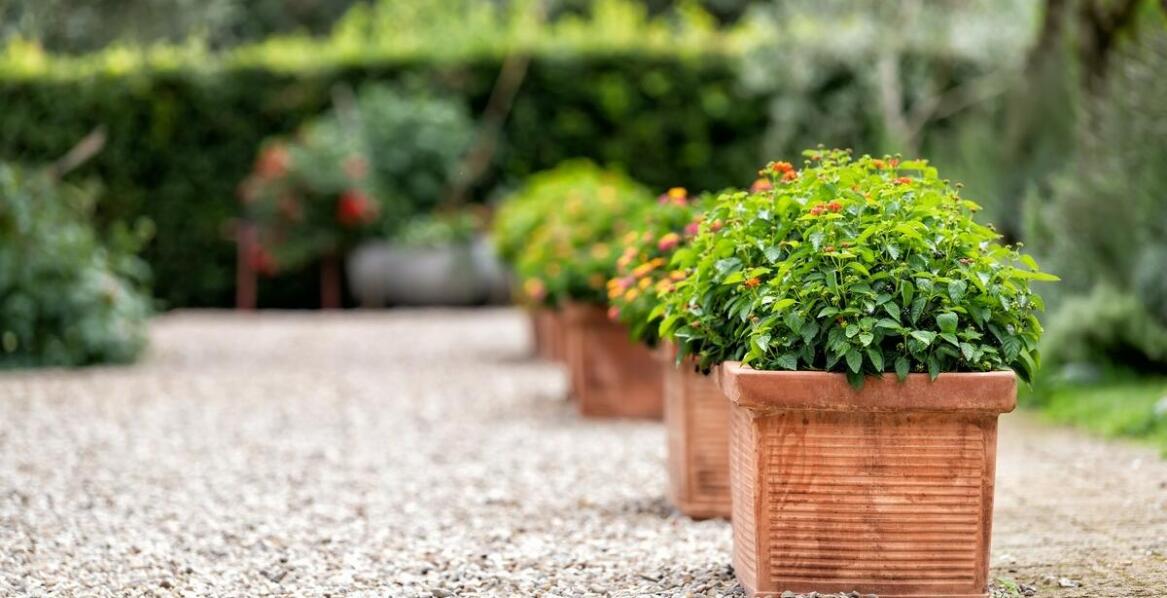 Donica kwadratowa 60x60 jako centralny punkt aranżacji ogrodowej