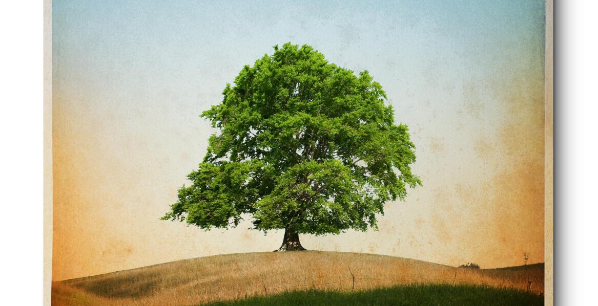 Jakie są najsłynniejsze dzieła sztuki inspirowane naturą?