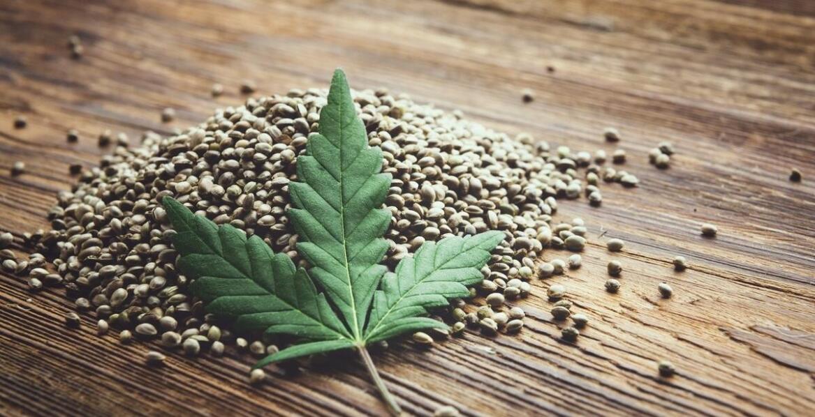 Zalety zakupu nasion f2 seeds w sklepie internetowym