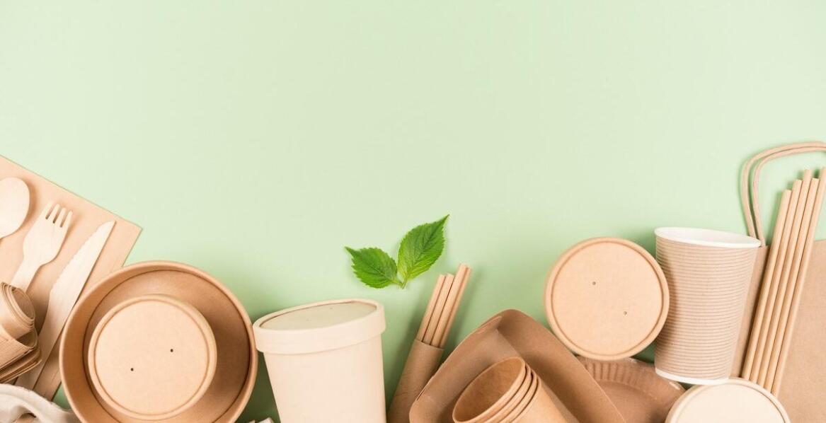 Wpływ ekologicznych pudełek na burgery na redukcję śladu węglowego restauracji