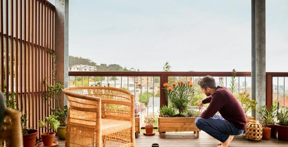 Rośliny balkonowe z centrum ogrodniczego Ursynów: piękno i różnorodność