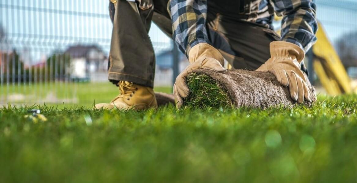 Jakie czynniki należy wziąć pod uwagę przy wyborze trawnika rolowanego?