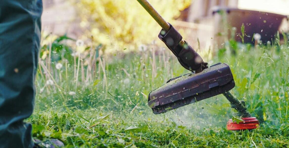 Jakie funkcje powinna mieć idealna karczownica do trawy?