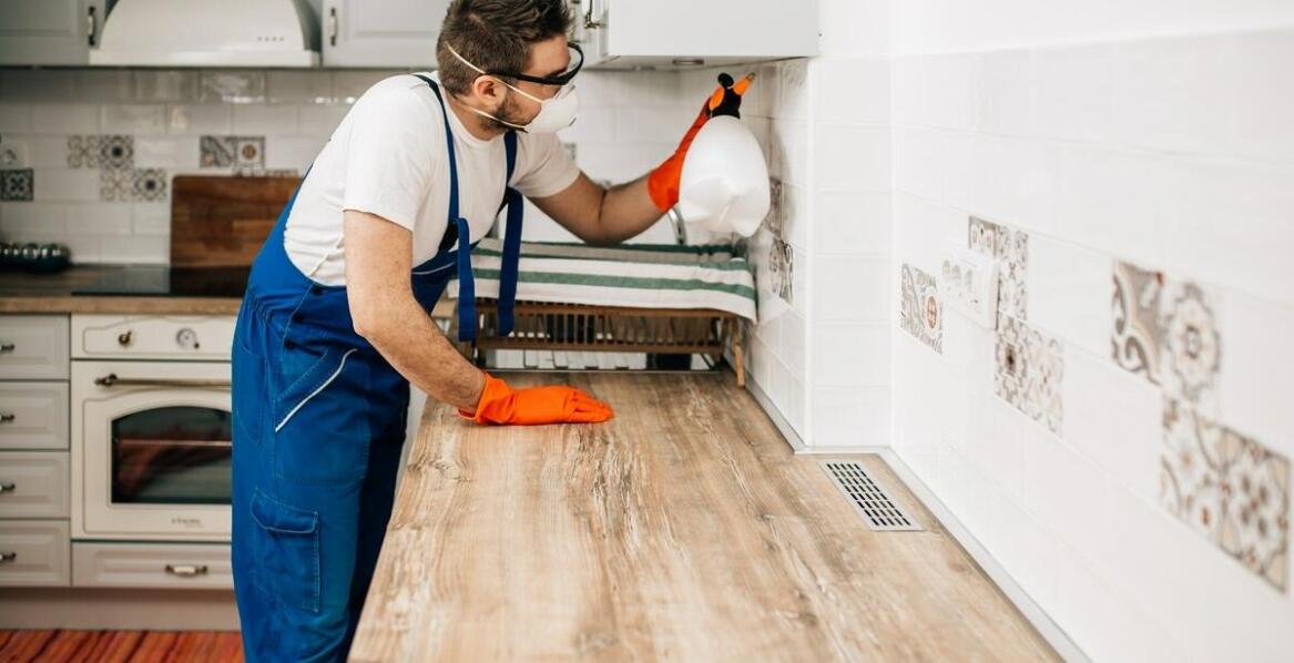 Osa z długimi nogami – jak skutecznie radzić sobie z tym szkodnikiem?