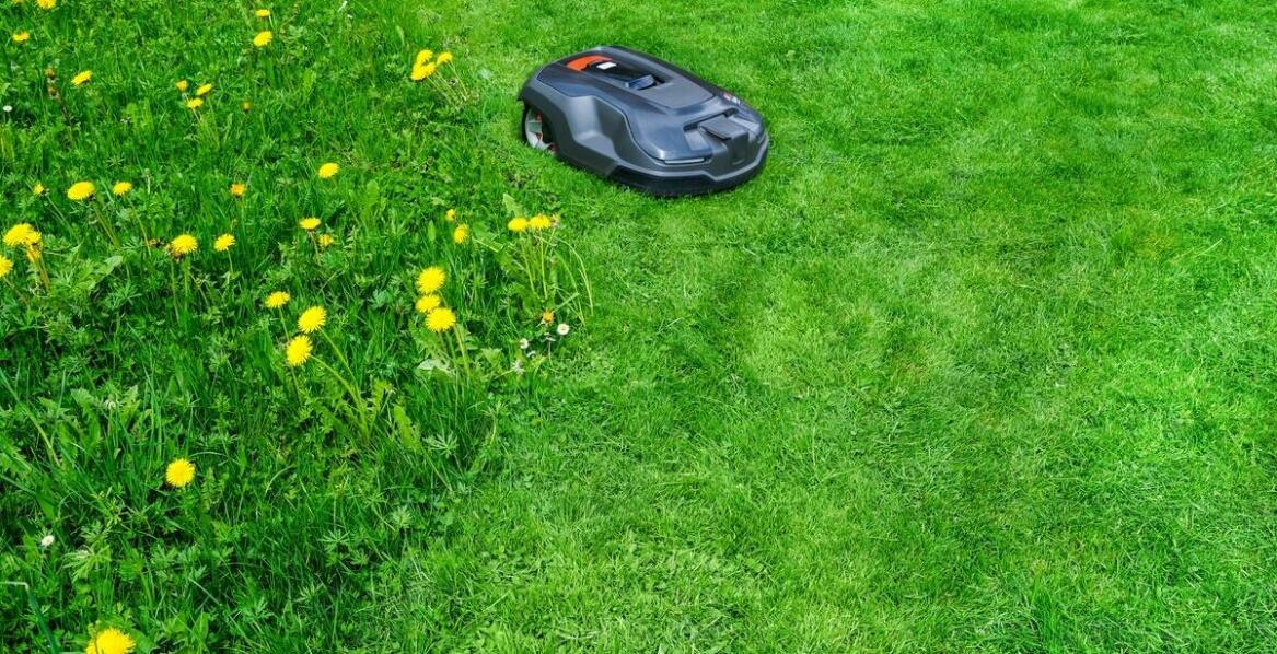 Jakie są korzyści z posiadania kosiarki w codziennej pielęgnacji ogrodu?