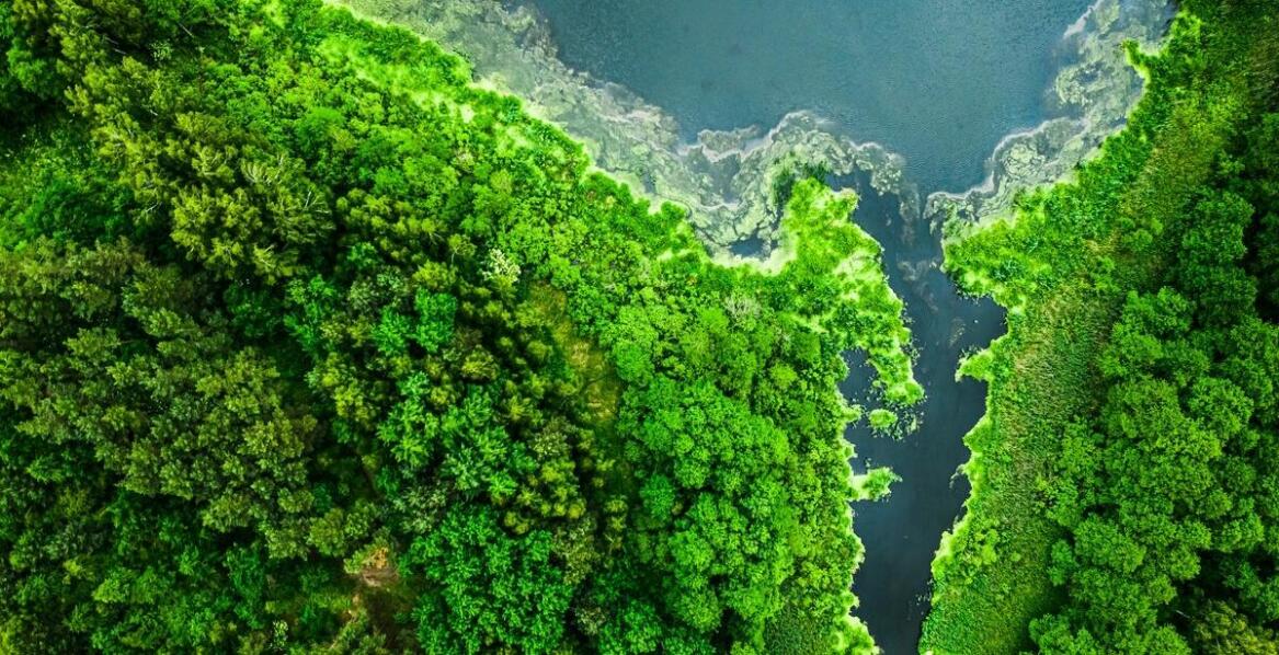 Znaczenie masy w projektowaniu trwałych zbiorników retencyjnych