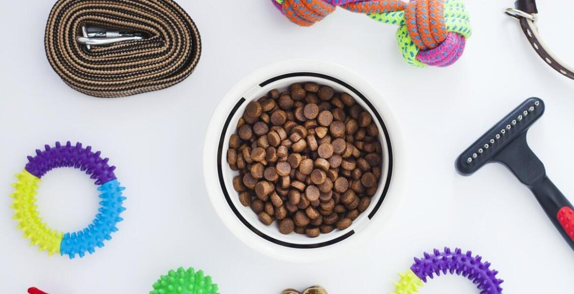 Dlaczego warto inwestować w wysokiej jakości smycze i szelki dla psa?