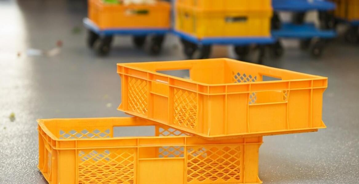 Jakie innowacje wprowadzono w ostatnich latach w koszach transportowych dla gołębi?