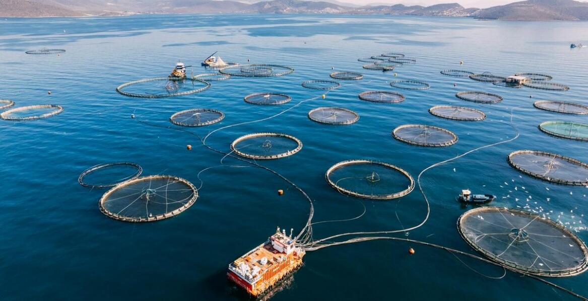 Jakie są najczęstsze problemy związane z nadmiernym obciążeniem sieci?