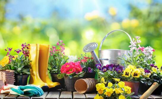 Jak często stosować nawóz, aby uzyskać najlepsze efekty w ogrodzie?