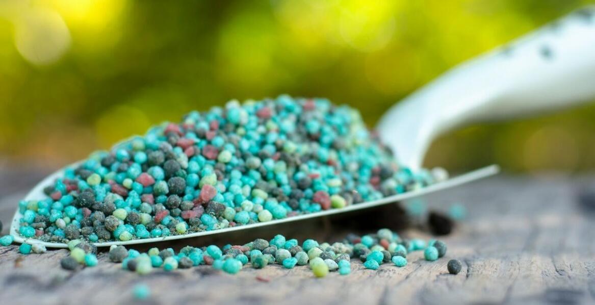 Preparaty ochronne pasz: innowacyjne podejścia do wspierania zdrowia zwierząt