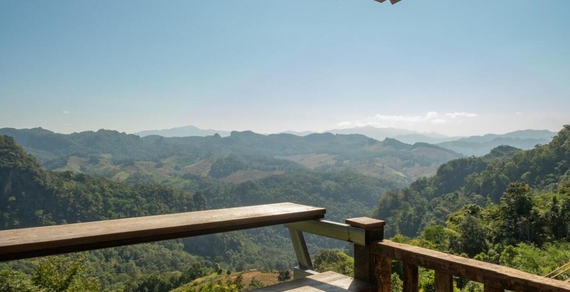 Jakie są zalety picia kawy organicznej?