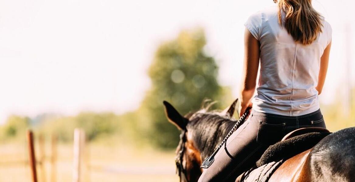 Jazda konna i inne atrakcje w ofercie