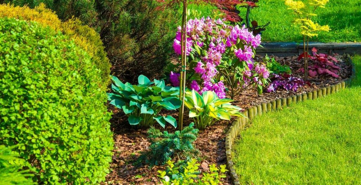 Hortensje w aranżacjach tarasowych – jak je komponować?